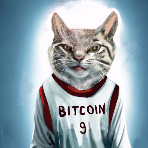 Worldofcatsclub