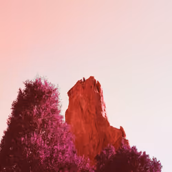 Pink Cathedral #3
