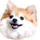 105184263194021154731113629173530032424064928447618274363170444489103366946817