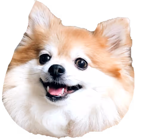 Item #105184263194021154731113629173530032424064928447618274363170444489103366946817 Media