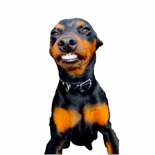 Item #94714075008728728290292122482915702585575938323463215525690816383675847933955 Media