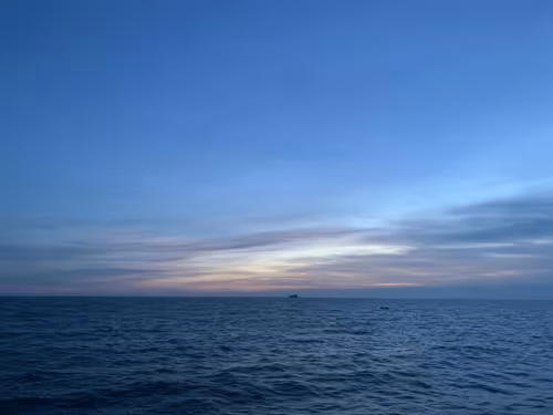 Untitled Collection #445997673