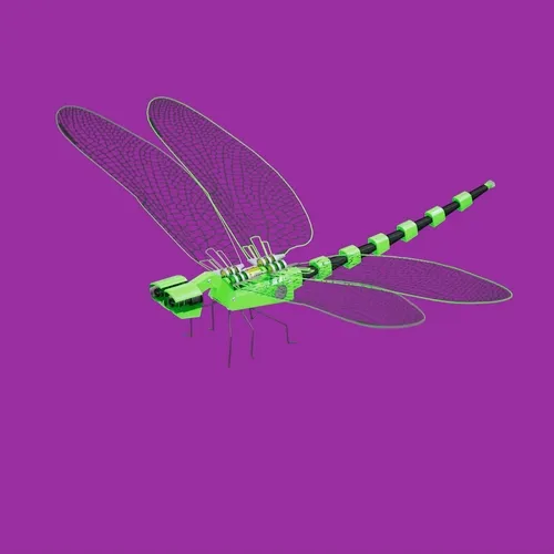 OBTI BOT DF #005