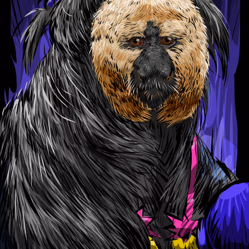 24427015361502395679383015096798352629317293472422721584968238923852286001153