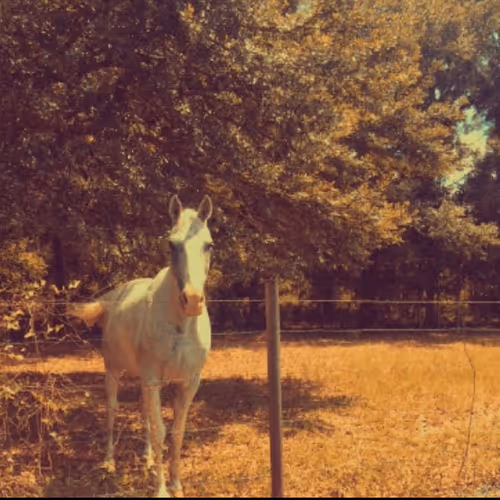 100225850833802309400907691213824965413149264301676048195047759941049216139265