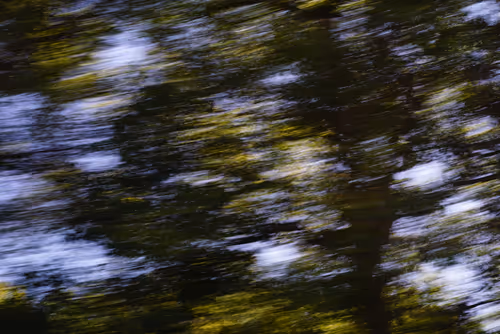 Item #70208692216166007409551313352686246739486859339551746312653787877491391594497 Media