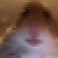 33014239430123329093898331881460735377495709184835535103393264301512499134465