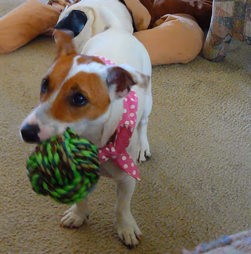 Item #5985210497355107417265215381210579199842884272282595265964883411110446759937 Media