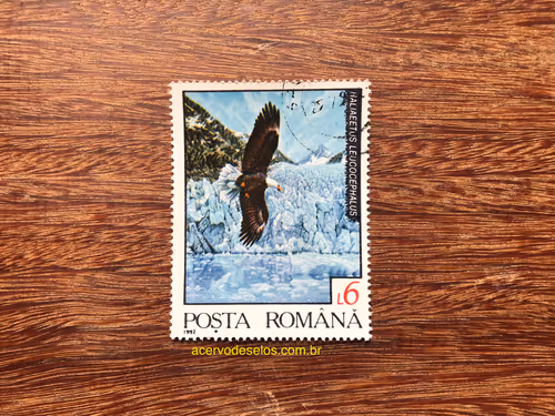 Item #20597586626667959385800891861414849022288511145256085744500515464912482336769 Media