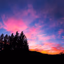 Landscape X Jure Kralj