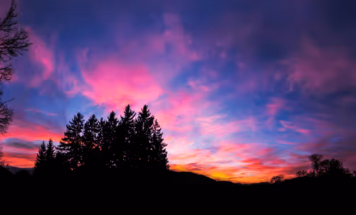 Landscape X Jure Kralj