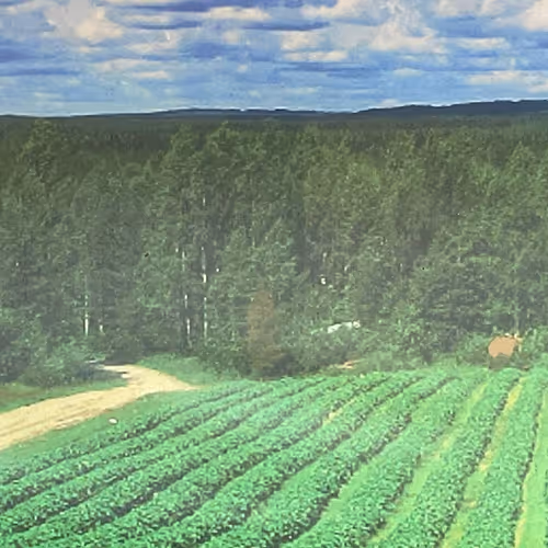 The Landscape Is So Beautiful Here