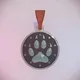 FlokiPup Diamond Paws