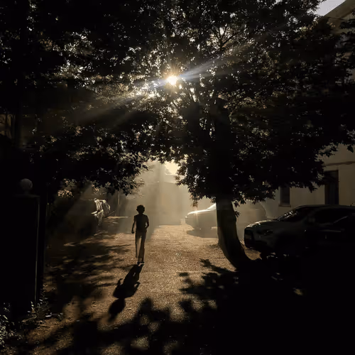 Editions by Hrant Khachatryan