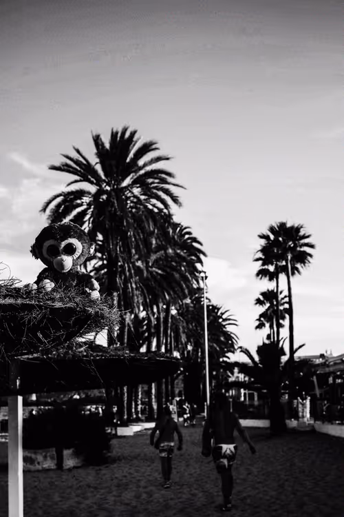 Item #78523124948883737191824425685370443041181342440538518293301156640476853436417 Media