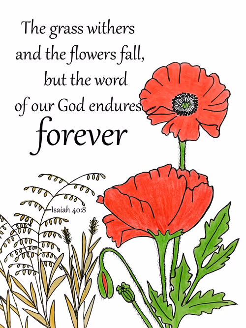 Item #2598078292416912400154953852394459455352010003858610416110553731950142554113 Media