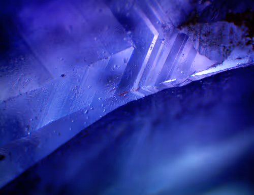 Item #71646257518770613568983710813551014237803002136866425209291834724483959095297 Media