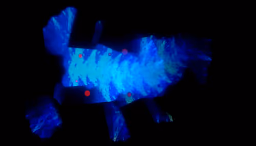 Item #67457553150443021914092587022250176347061355639032054621716075715575072948225 Media