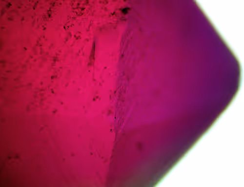 Item #71646257518770613568983710813551014237803002136866425209291834720085912584193 Media