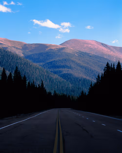 Item #109035602226808003781190119812646007383870584685532442463381146998566635438081 Media