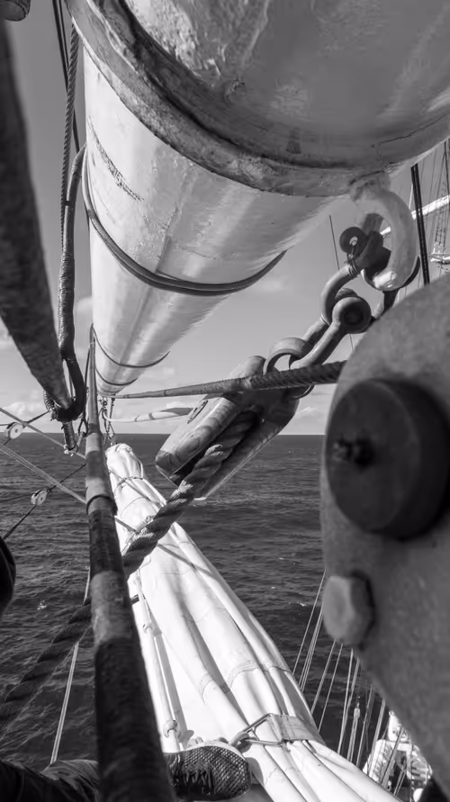 Item #34110083671509346653453586160941404072216291014688644284046702362594396602369 Media