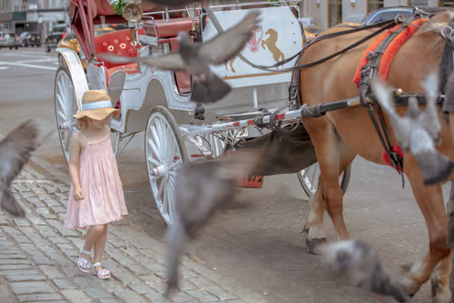 Item #91197645356658558939675614627603270667924620975267700772081319371331724115969 Media