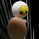 77455666665831320352946176498656513598974189851593558291382937605246663262244