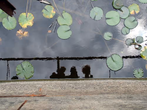 Item #53293308890184797563245186567038910587897763149201304652829954801128672591873 Media