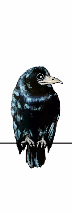 Item #72695523464753550601147126795501667149014001806411121621206157105270263644161 Media