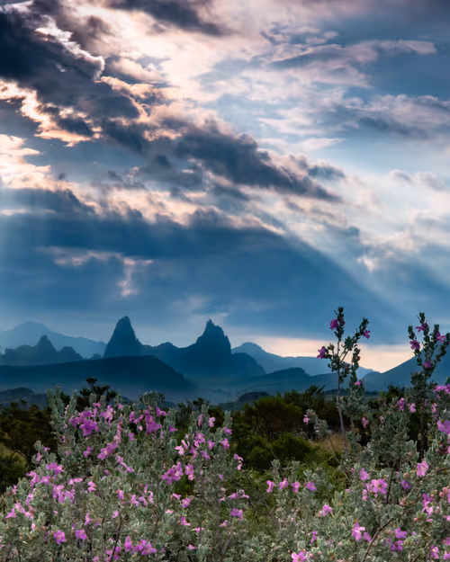 Item #6712862362292101342106778286910640871760900650243350852688309160698301120513 Media