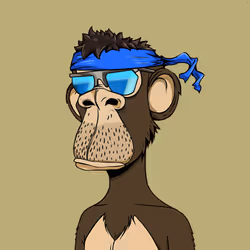 16566600121269417912170177103509838201258617517728004158130446335673213386753