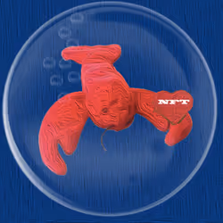 41776025324002017952572422073316458441069080831023694546850787092512664190977