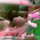 96776130309691853862546034039415763220376254547504575430254050281542291292161