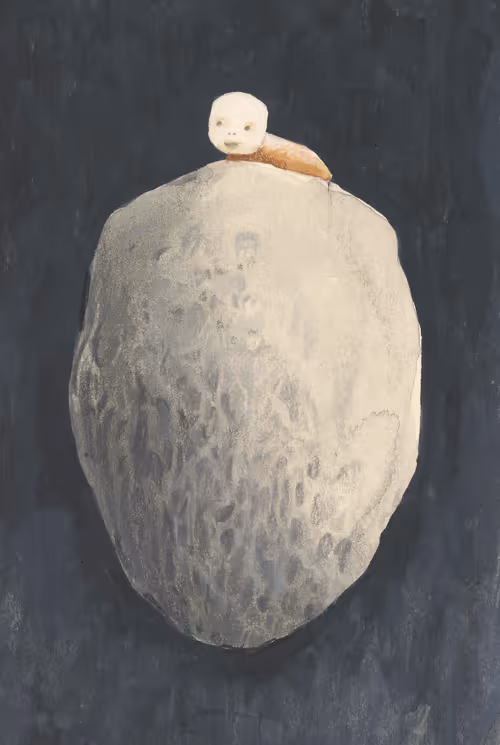 Item #81941951860752634106901471197417024290092758316206591328720189687847404437505 Media