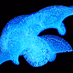 45731211464929816441170859700976373292149702980452148839612469045765609619457