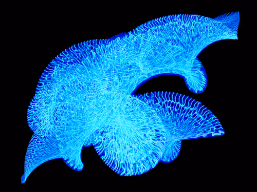 Item #45731211464929816441170859700976373292149702980452148839612469045765609619457 Media