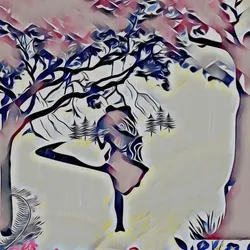 A Rainy Nature Walk Meditation