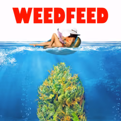 weed