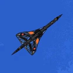 Ancyluris Concordae #4