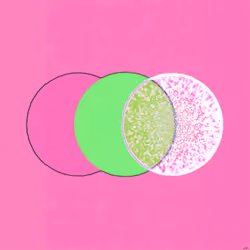 Eclipse #14: "Gum"