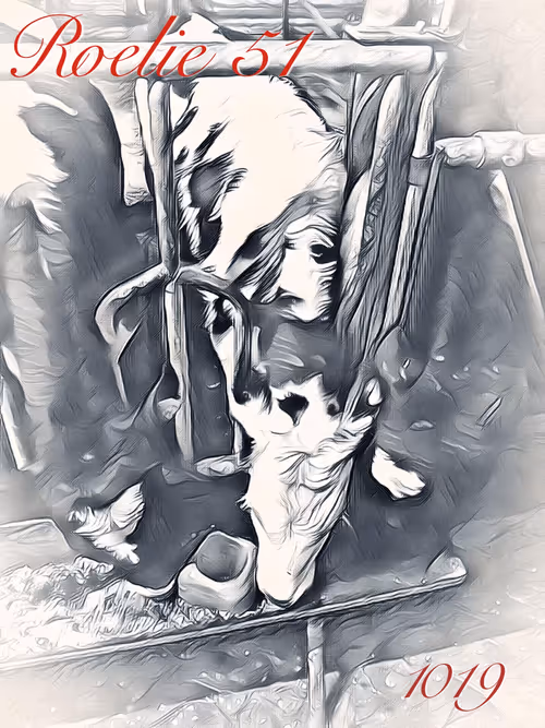 Item #106168068867162485094593885732241547229015412580842941571810197407605901492234 Media