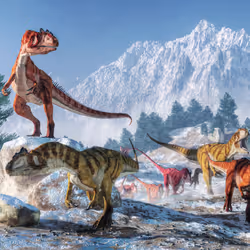 15201862250514145958676777466825728141953005429687029988591517093087053611009