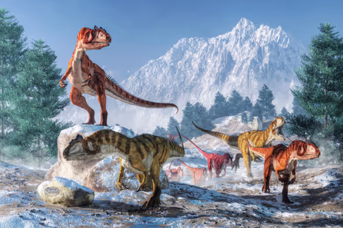 Item #15201862250514145958676777466825728141953005429687029988591517093087053611009 Media