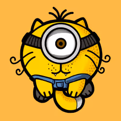 TranfromCat #004
