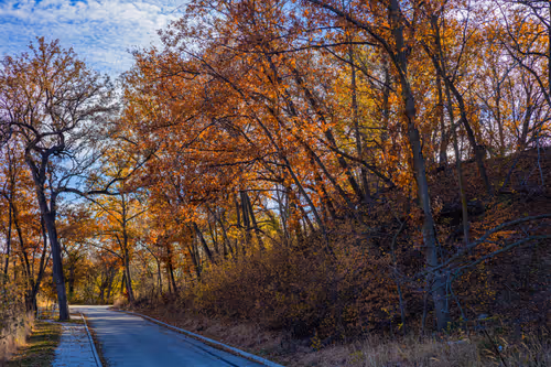 Item #19684374529110288056520570276703370007863893692966726326193838085508069064705 Media