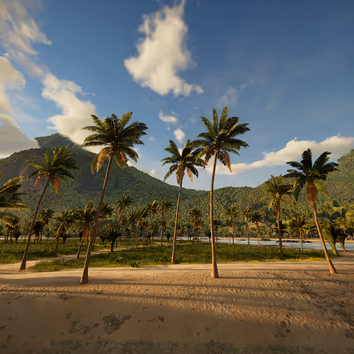 Item #74552416753169027147771311826698086237228656729364101789372453751195808301057 Media