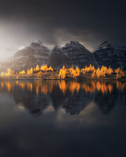 Item #18429628354057188698791897344843327250721148693952566125473226716660774207489 Media