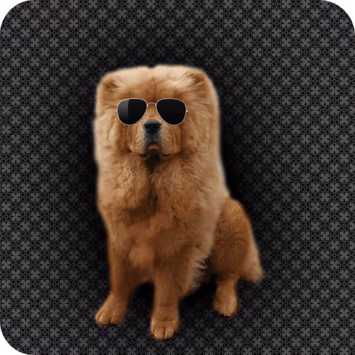 Item #18069411133127541891764540209837632150727605560921678338142275903906604122113 Media