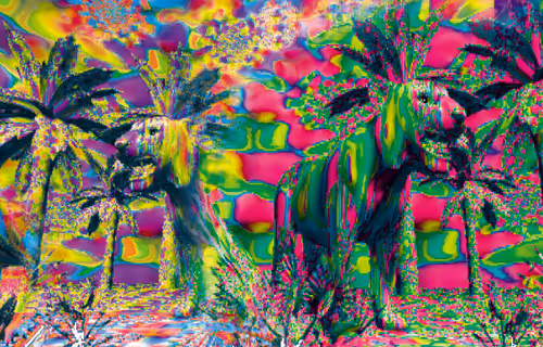 Item #59887672476142051182210115344726959336299874828403765455395970679272116322305 Media