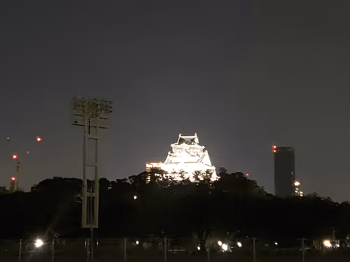 Untitled Collection #32716320